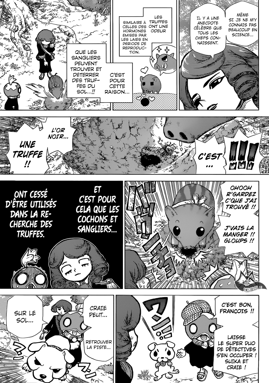 Dr. Stone: Chapter chapitre-94 - Page 13