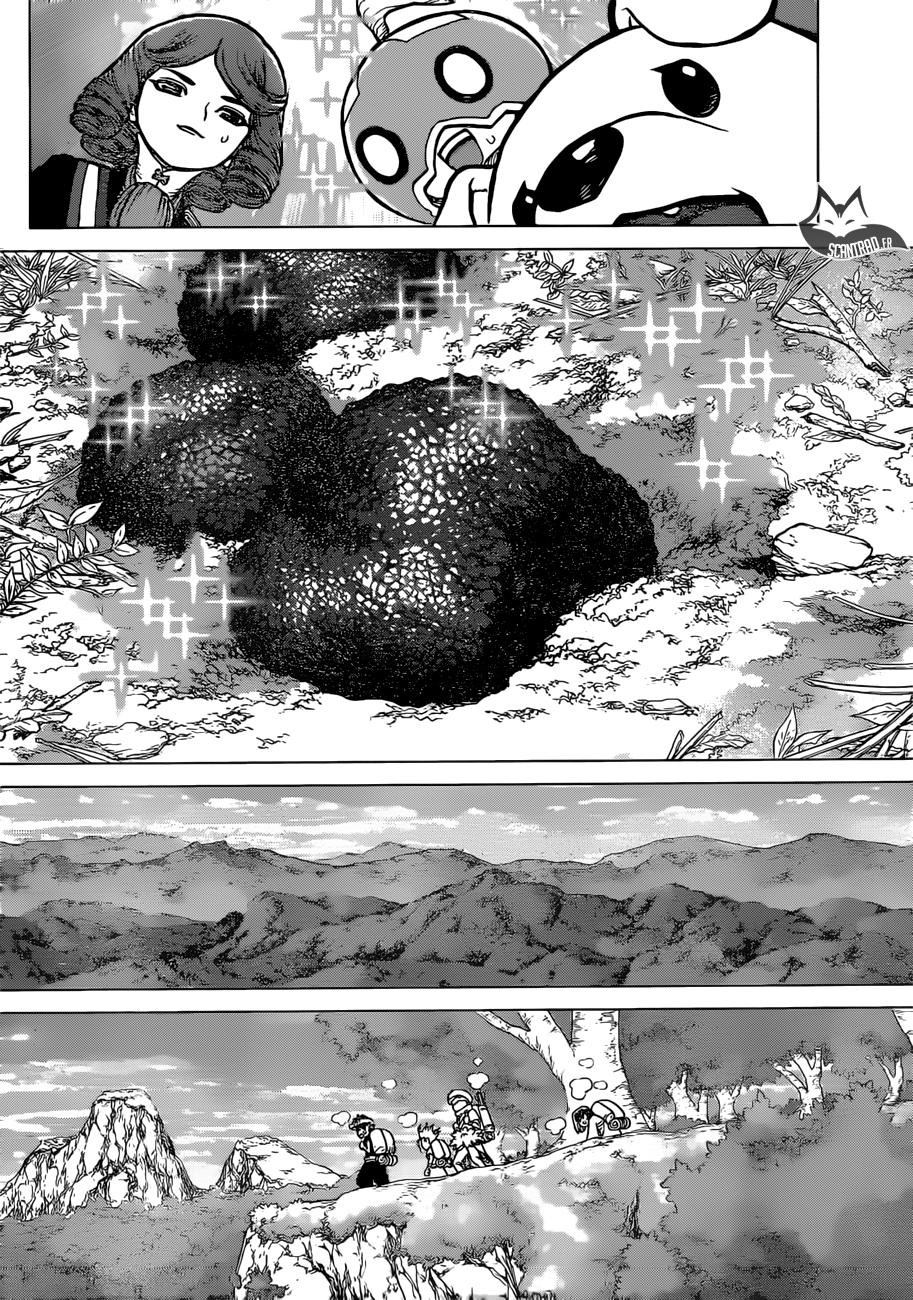 Dr. Stone: Chapter chapitre-94 - Page 14