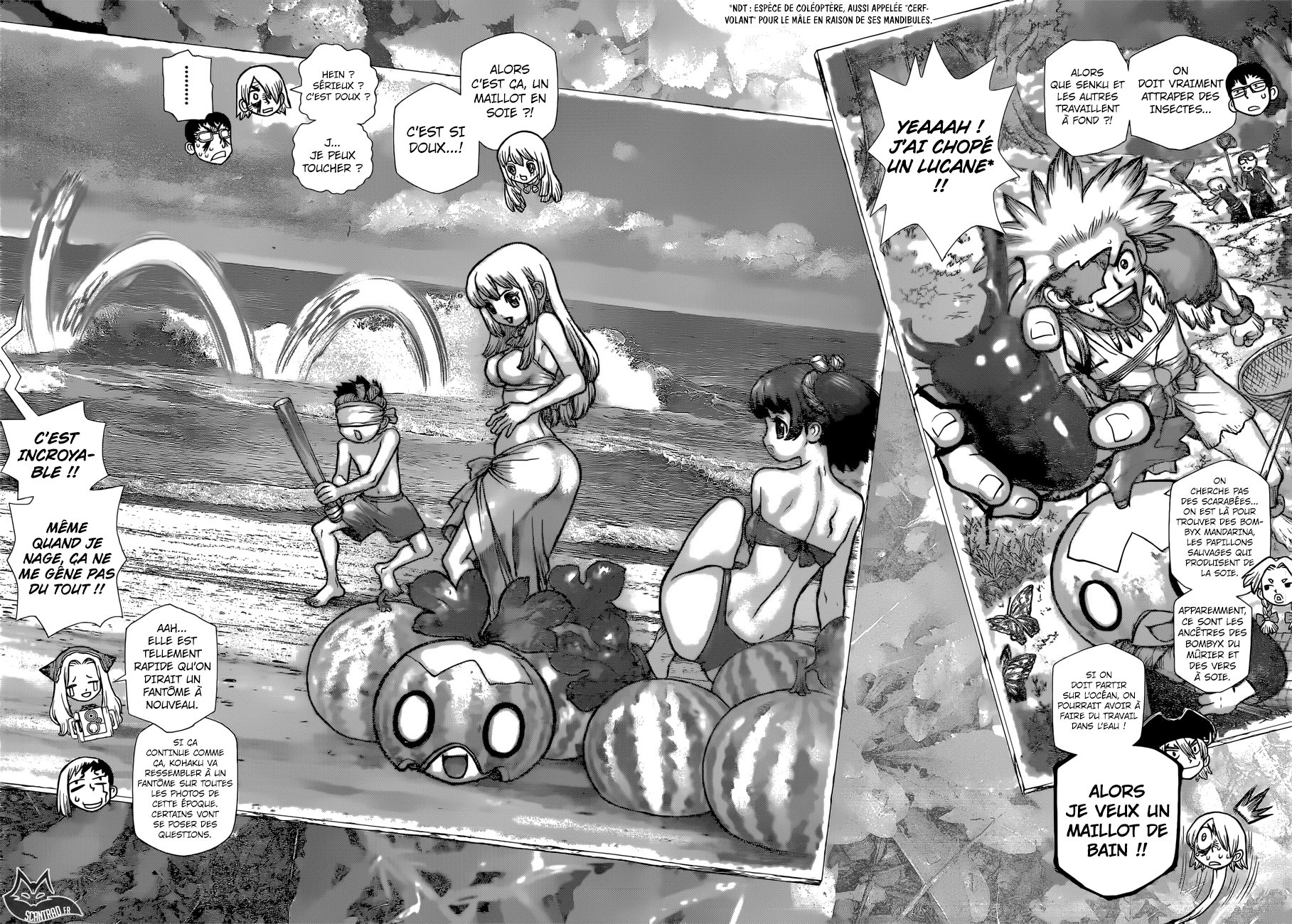 Dr. Stone: Chapter chapitre-99 - Page 10