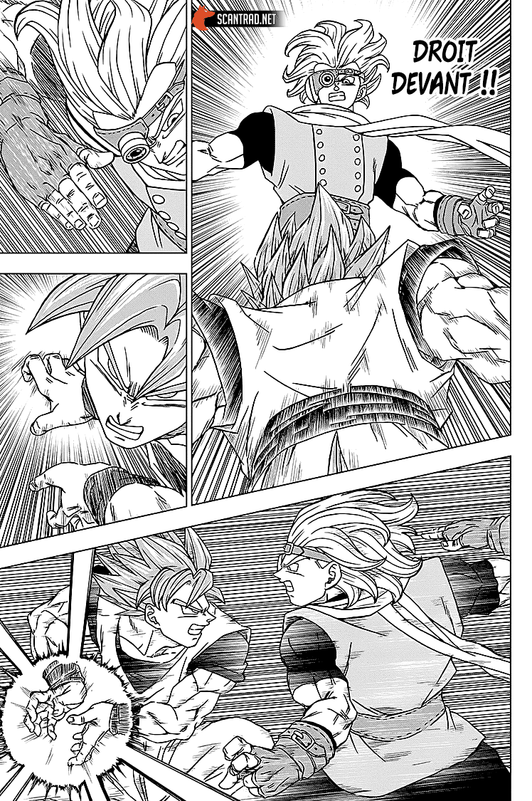 Dragon Ball Super: Chapter chapitre-73 - Page 15
