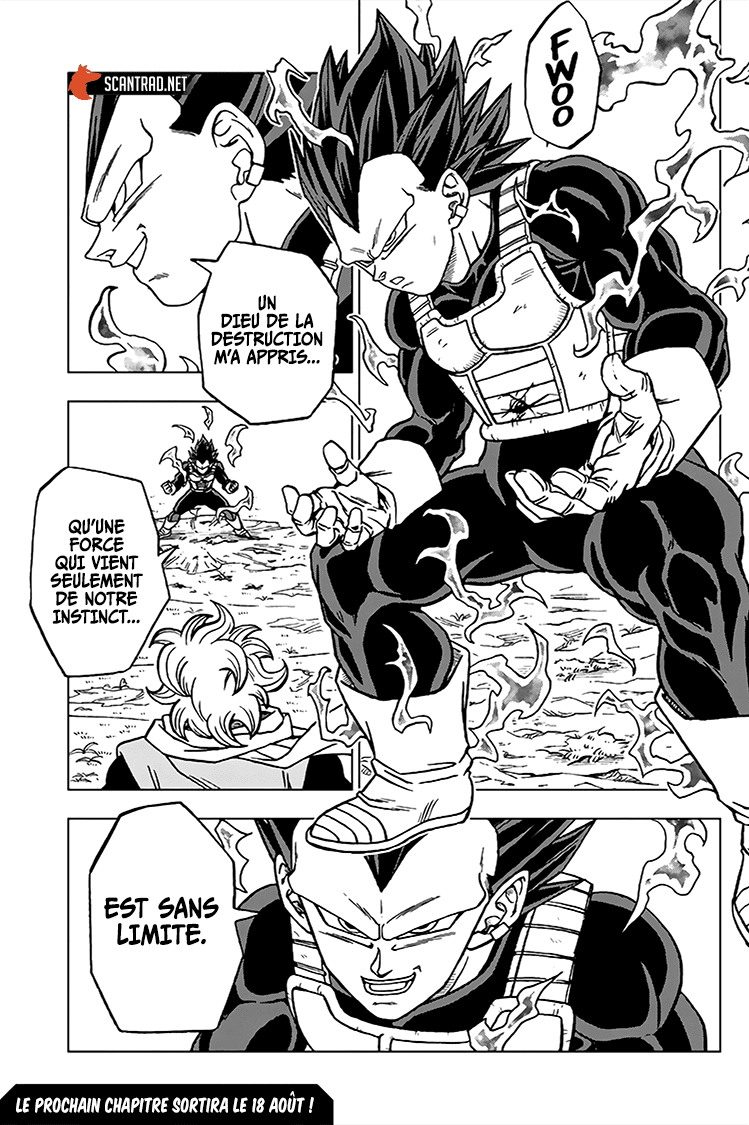 Dragon Ball Super: Chapter chapitre-74 - Page 45