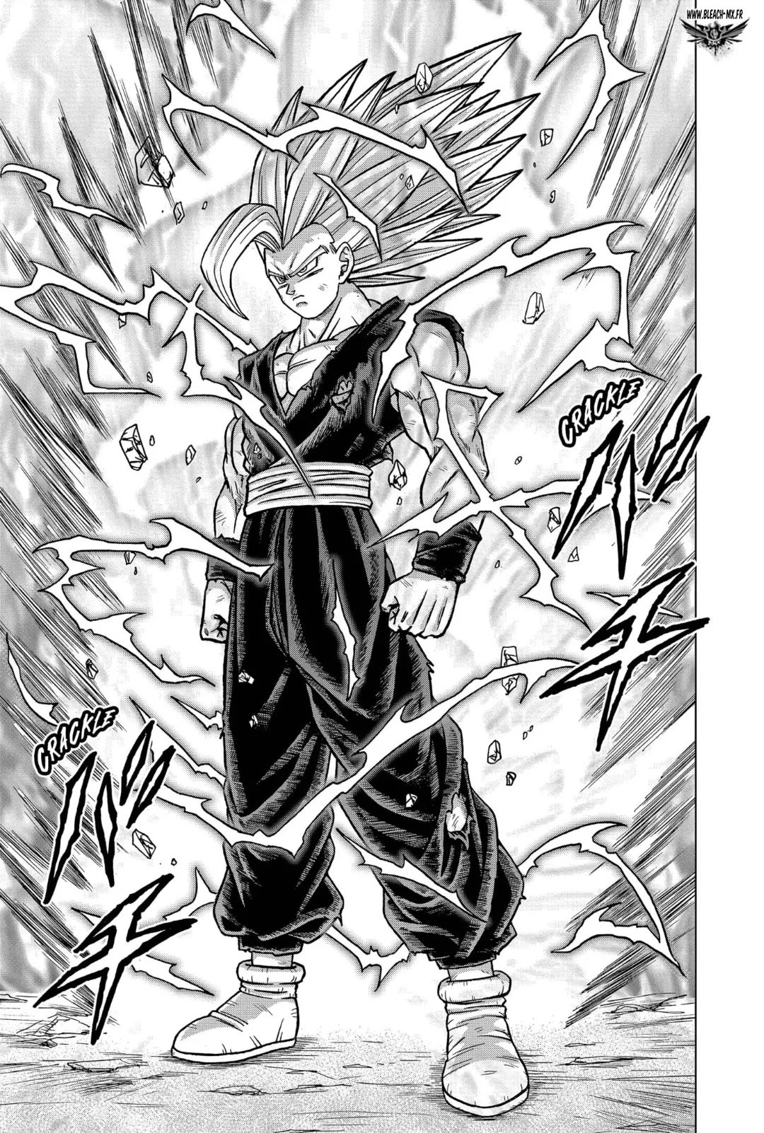 Dragon Ball Super: Chapter chapitre-99 - Page 26