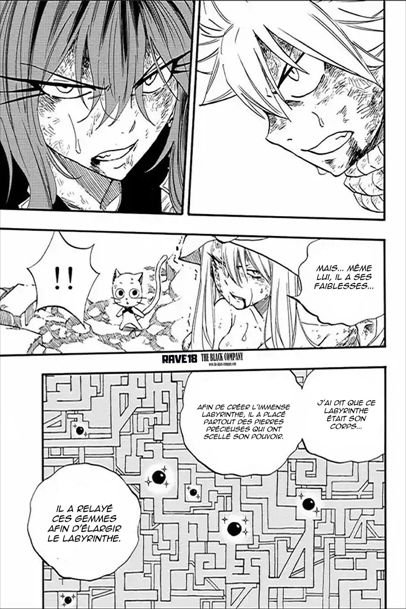 Fairy Tail 100 Years Quest: Chapter chapitre-111 - Page 13