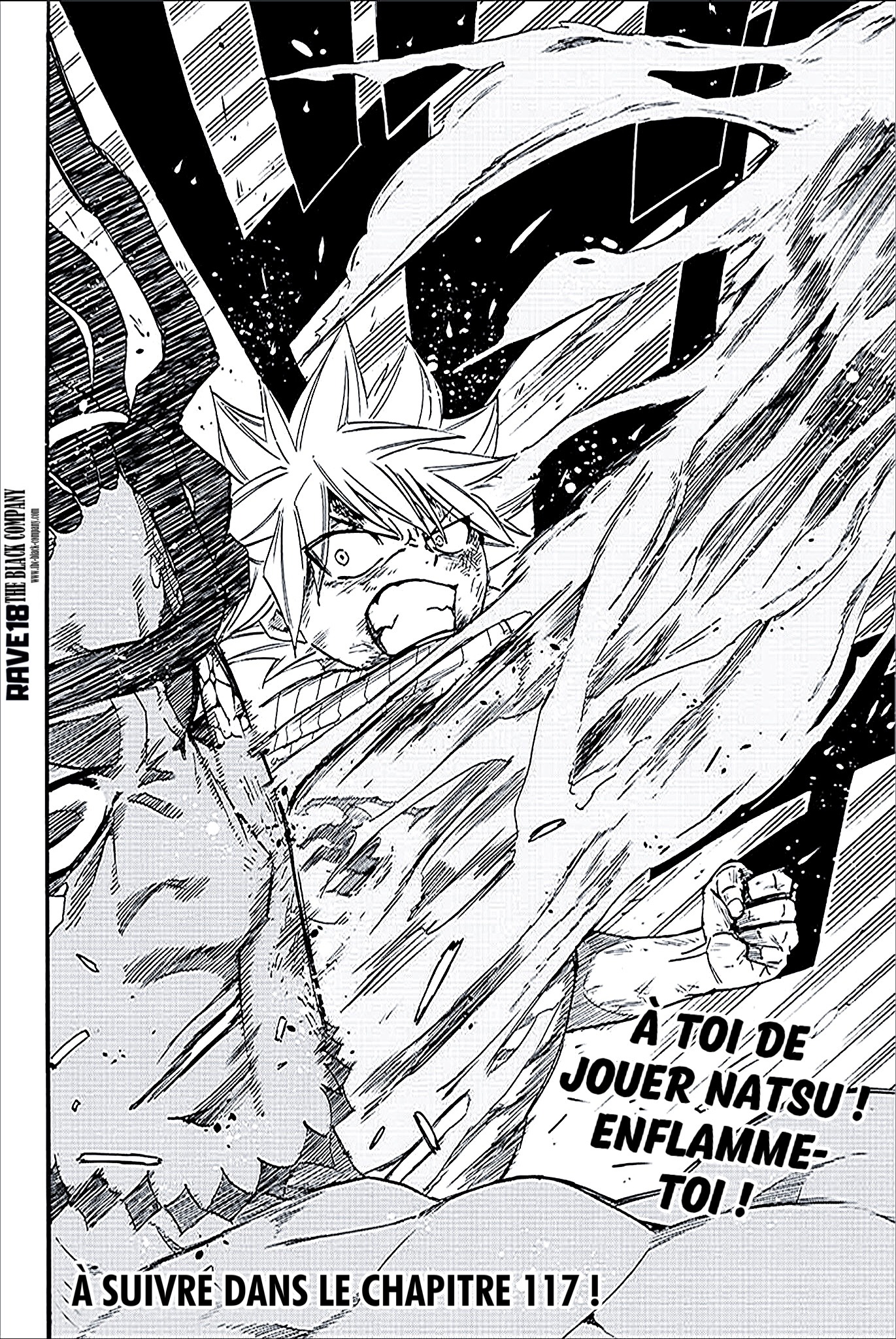Fairy Tail 100 Years Quest: Chapter chapitre-116 - Page 20