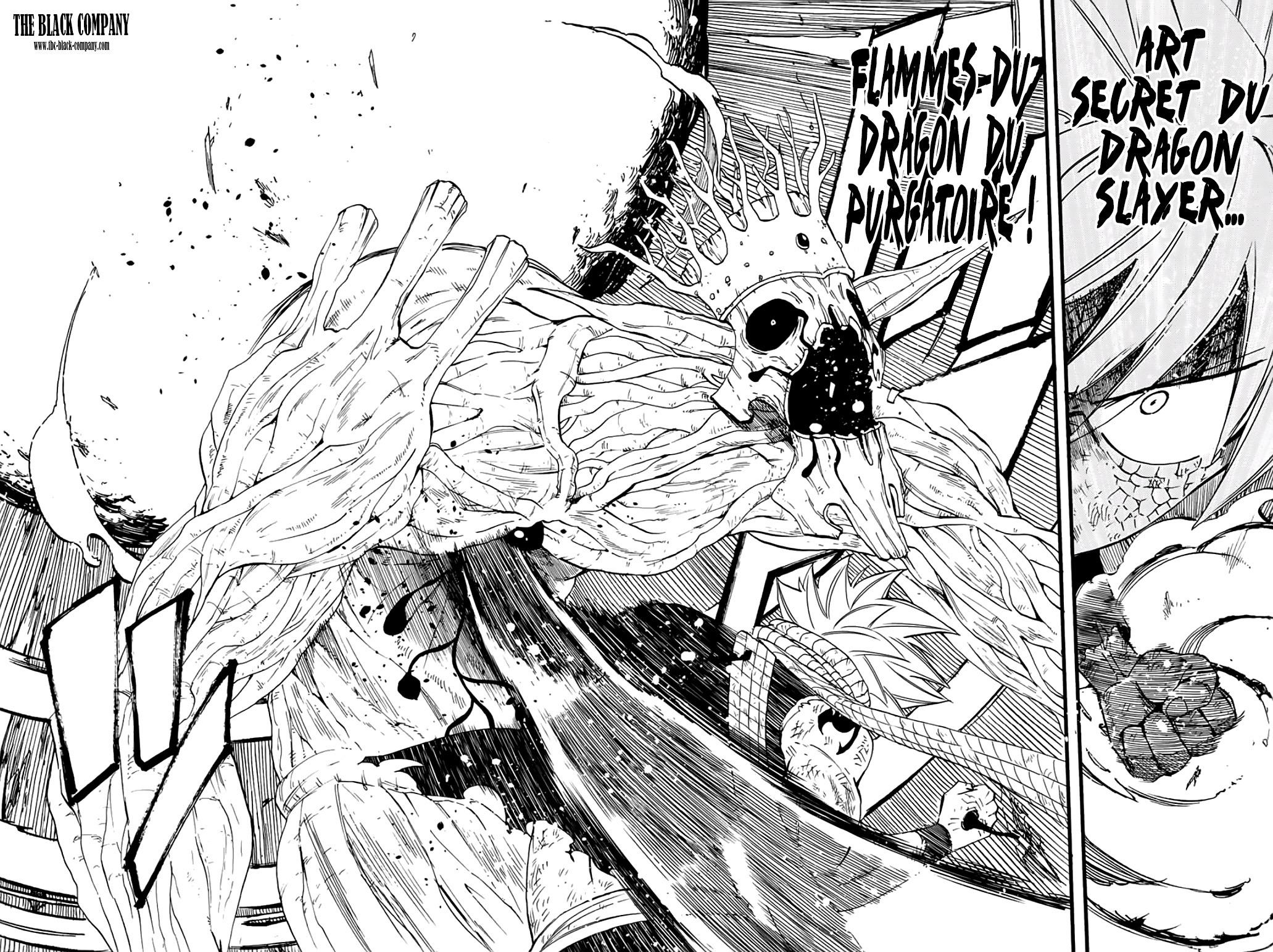 Fairy Tail 100 Years Quest: Chapter chapitre-62 - Page 14