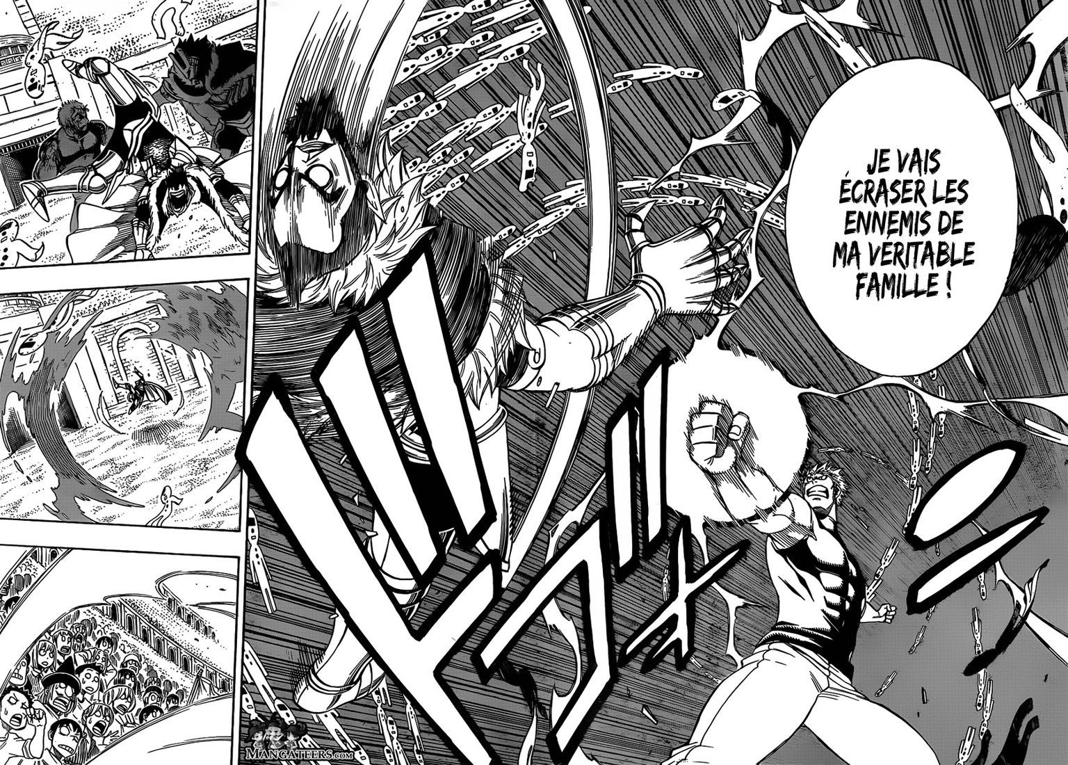 Fairy Tail: Chapter chapitre-287 - Page 11