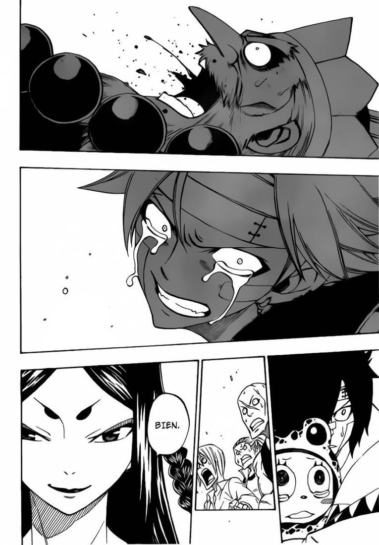 Fairy Tail: Chapter chapitre-300 - Page 14