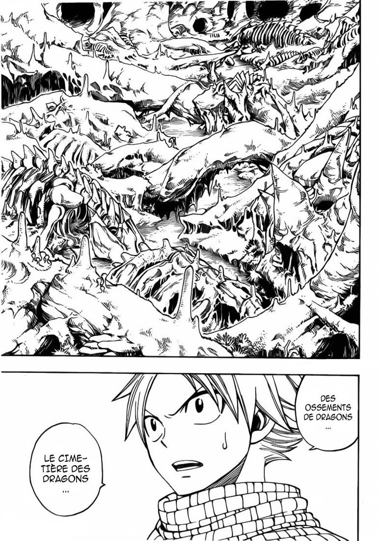 Fairy Tail: Chapter chapitre-300 - Page 17