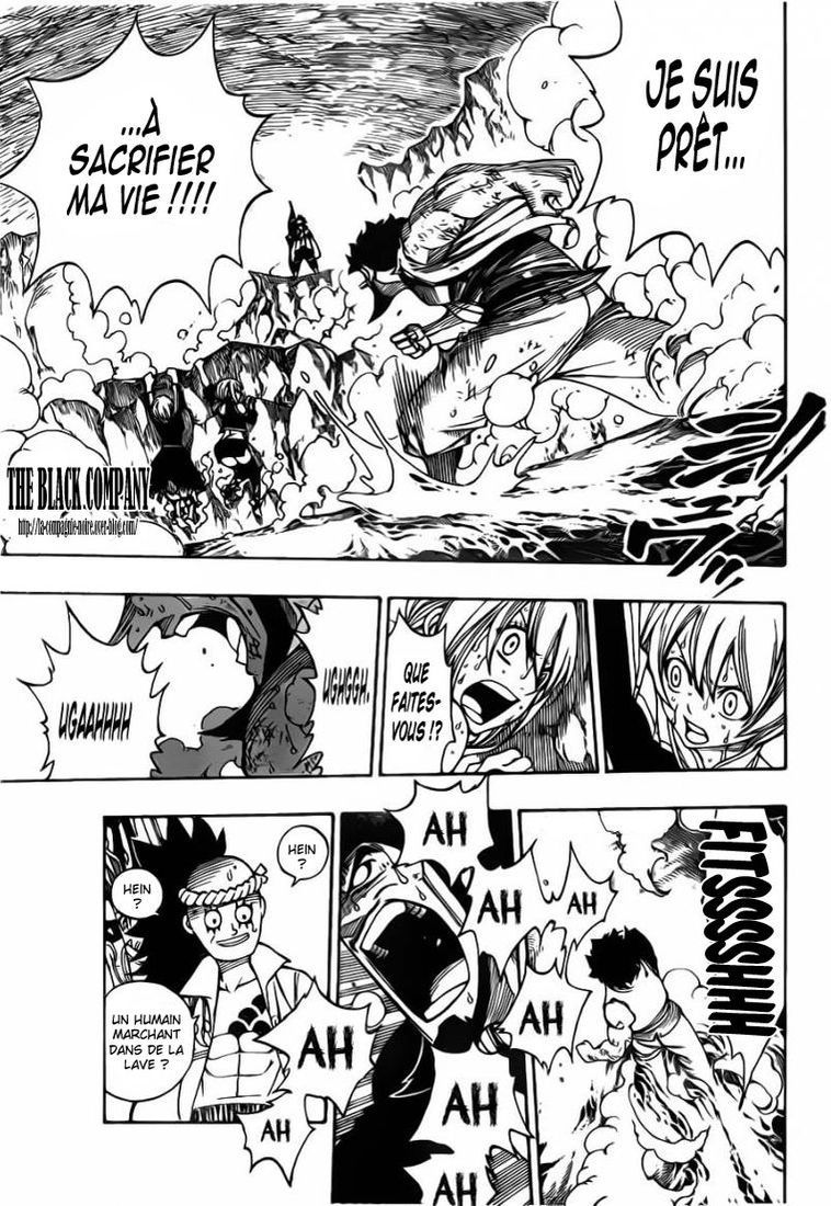 Fairy Tail: Chapter chapitre-309 - Page 13