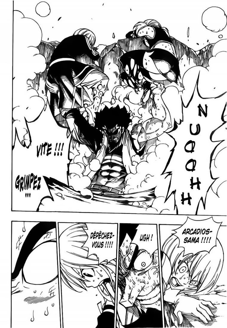 Fairy Tail: Chapter chapitre-309 - Page 14