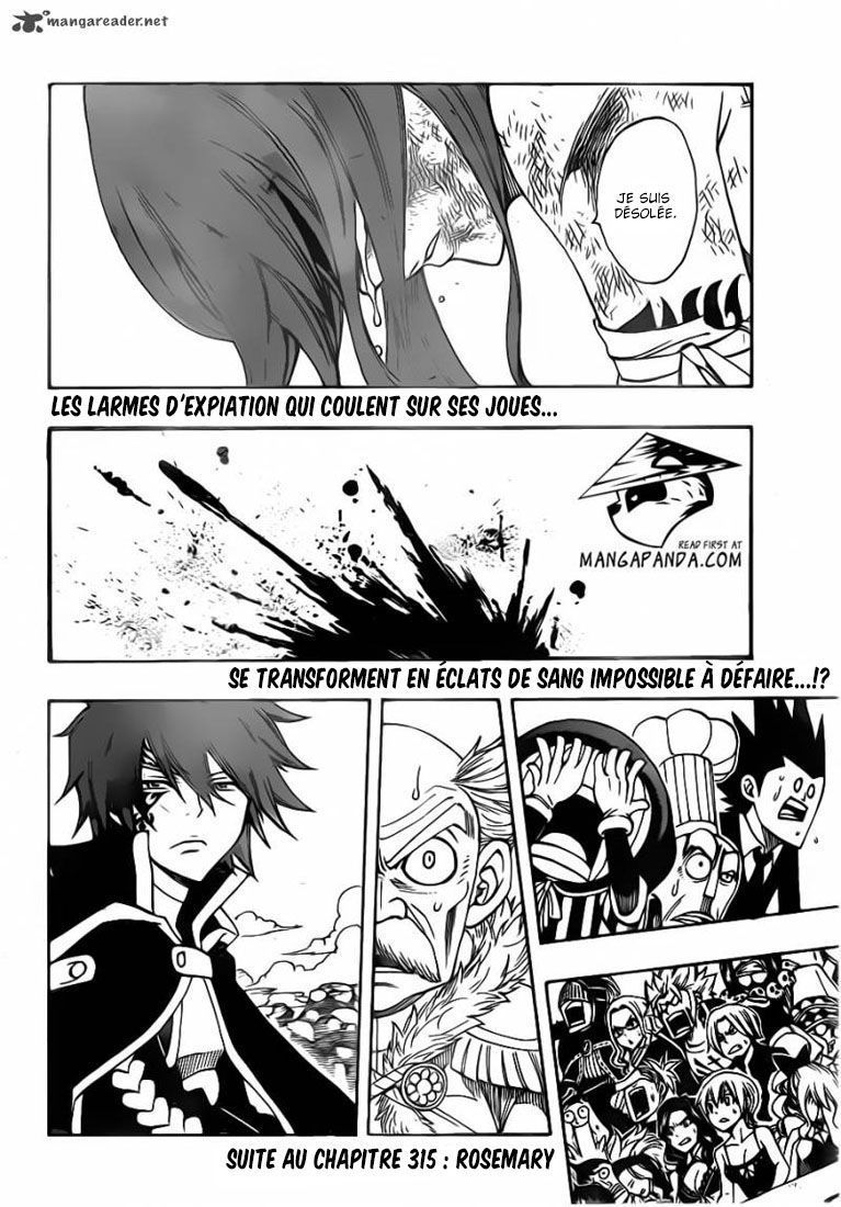 Fairy Tail: Chapter chapitre-314 - Page 20