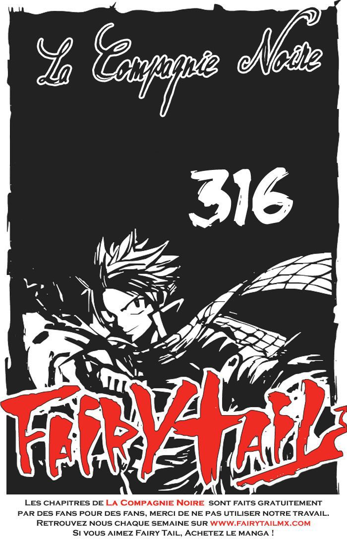 Fairy Tail: Chapter chapitre-316 - Page 20