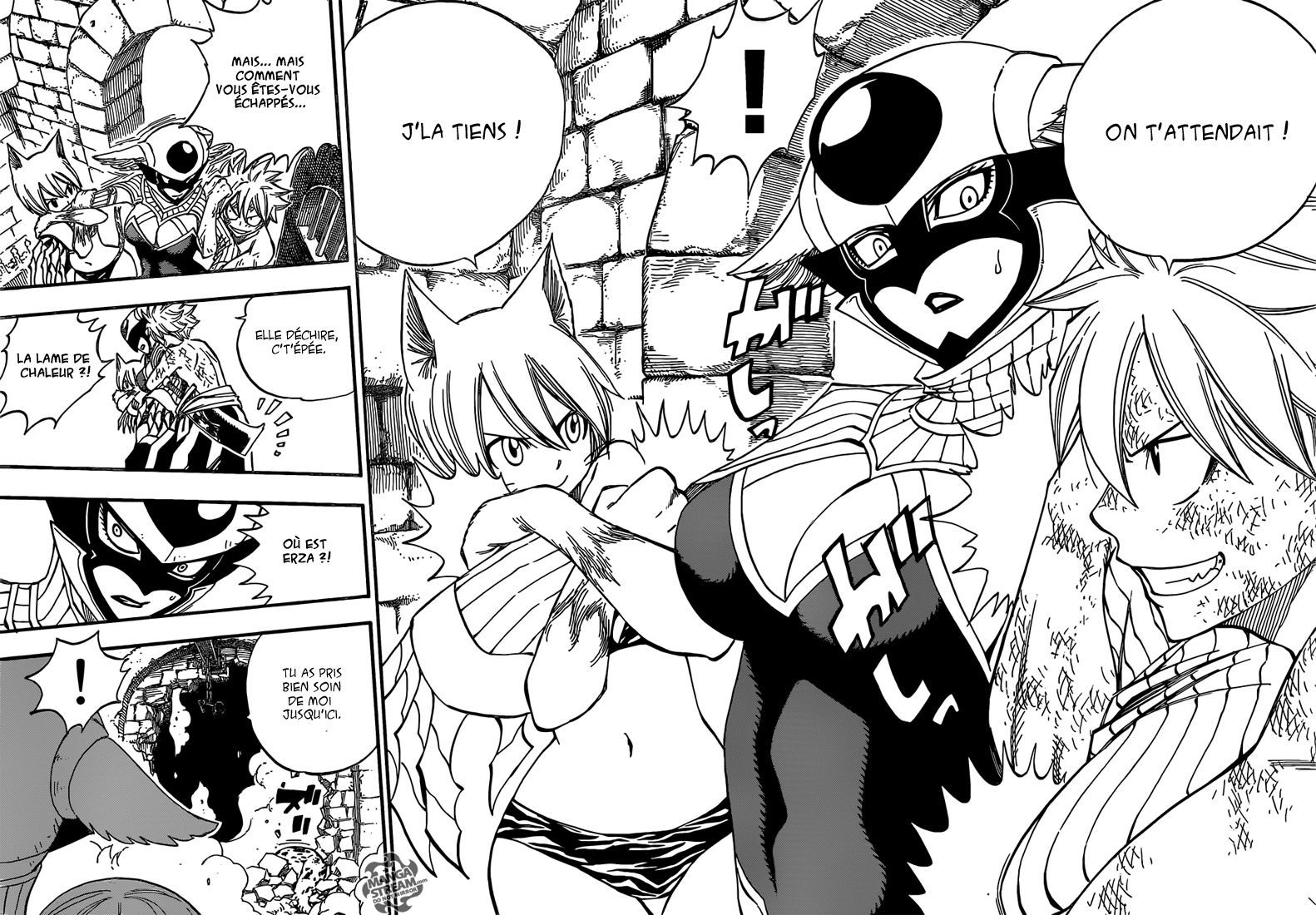 Fairy Tail: Chapter chapitre-371 - Page 15