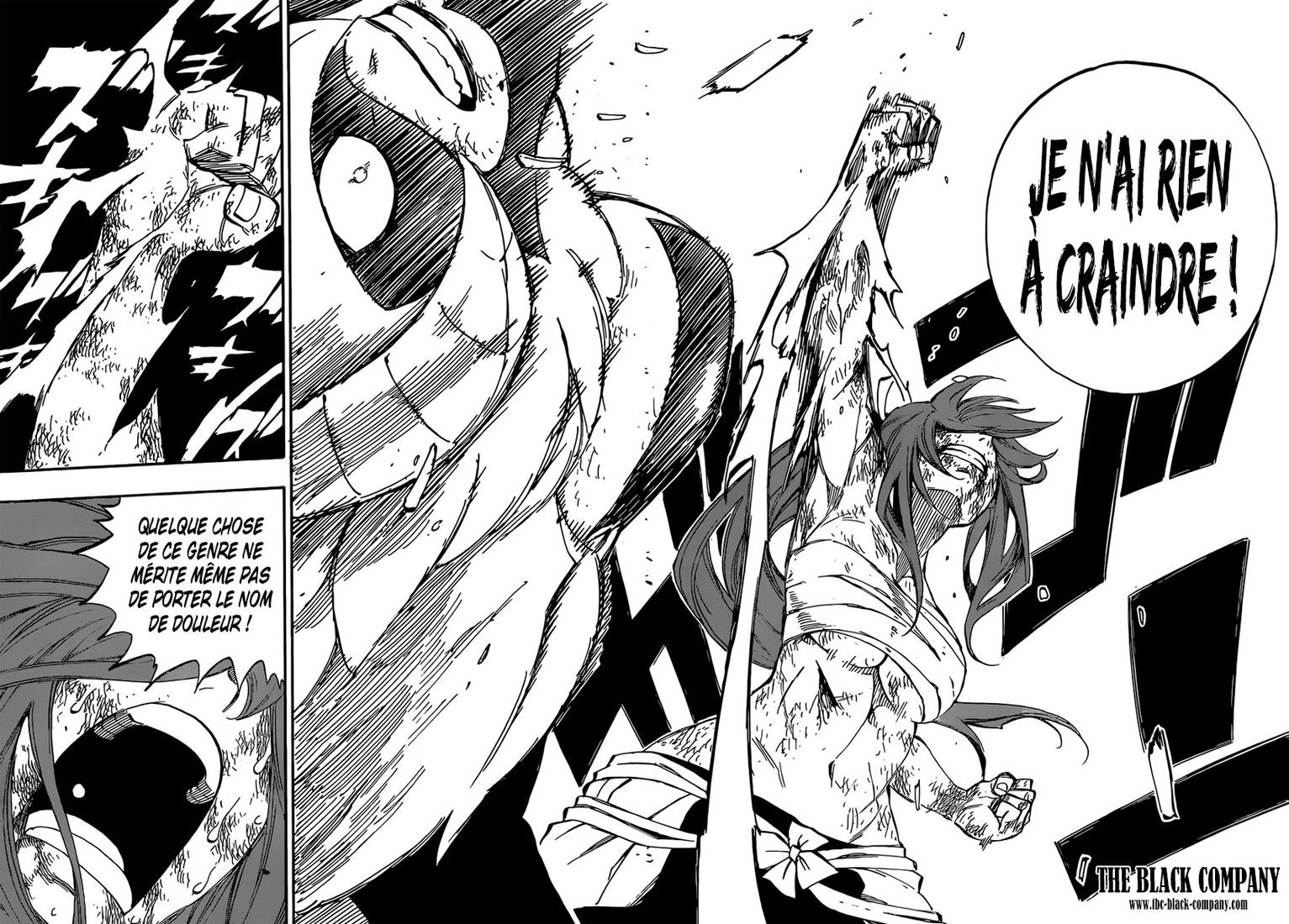 Fairy Tail: Chapter chapitre-403 - Page 19