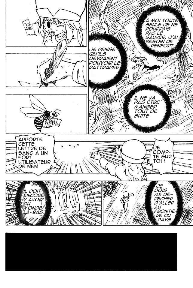 Hunter X Hunter: Chapter chapitre-190 - Page 13