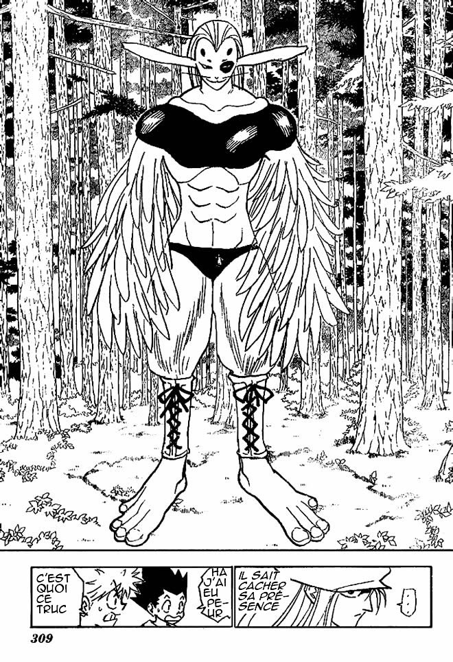 Hunter X Hunter: Chapter chapitre-191 - Page 4