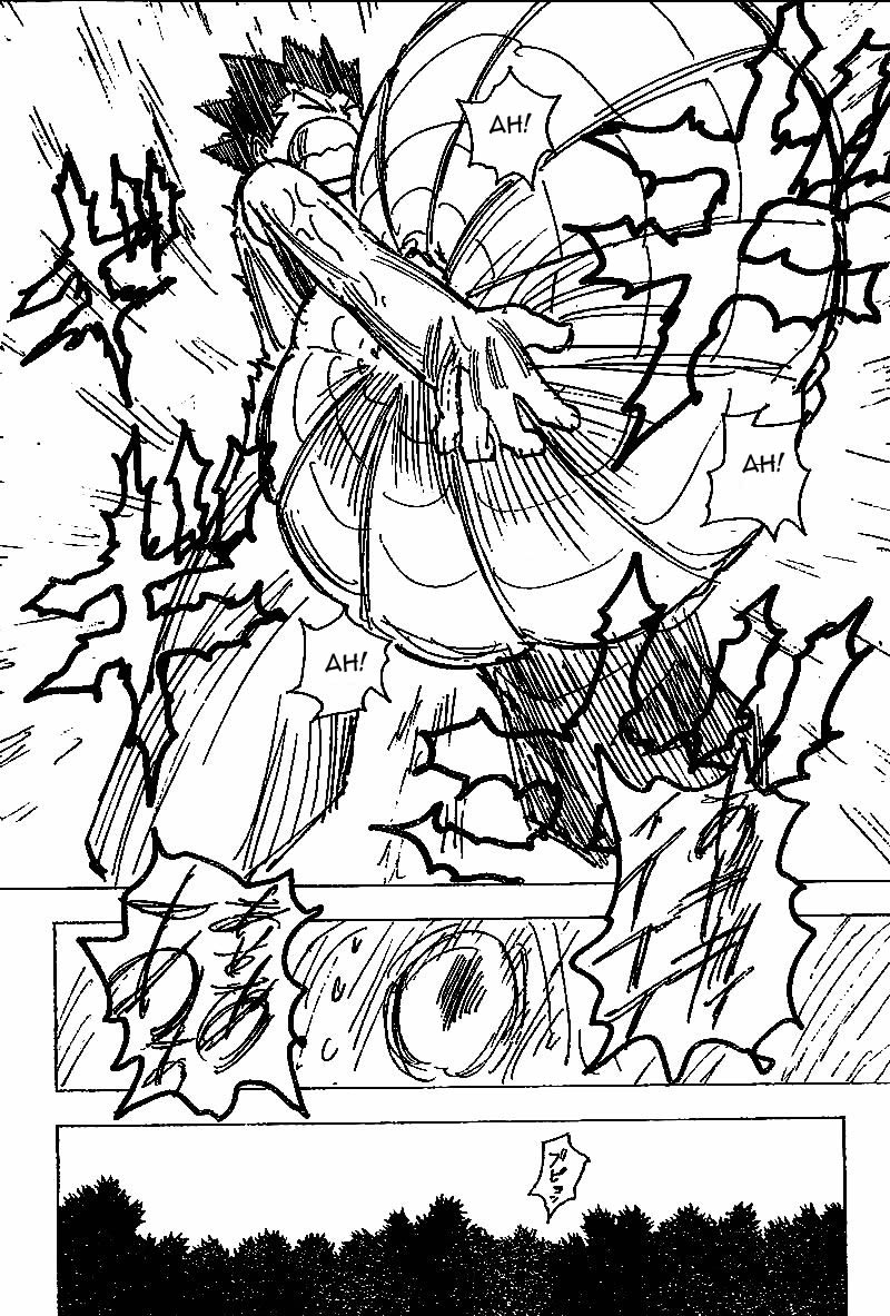 Hunter X Hunter: Chapter chapitre-195 - Page 14