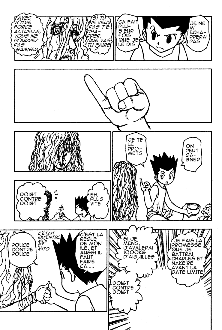 Hunter X Hunter: Chapter chapitre-205 - Page 10