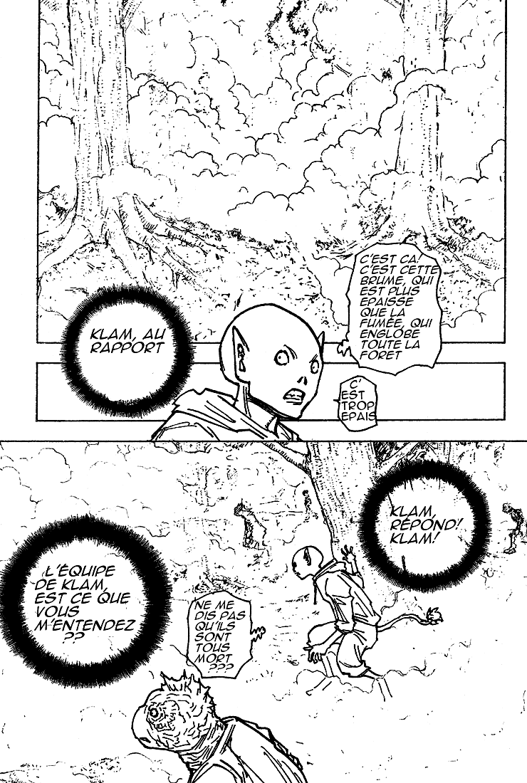 Hunter X Hunter: Chapter chapitre-205 - Page 12