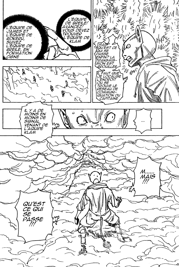 Hunter X Hunter: Chapter chapitre-205 - Page 13