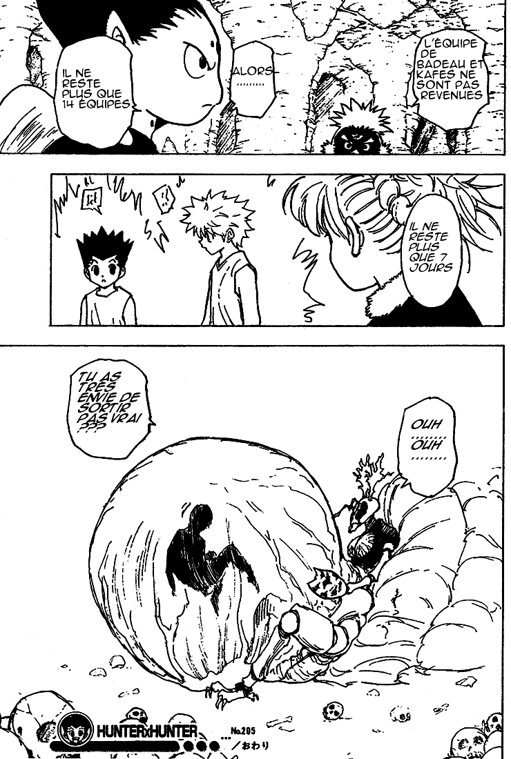 Hunter X Hunter: Chapter chapitre-205 - Page 16