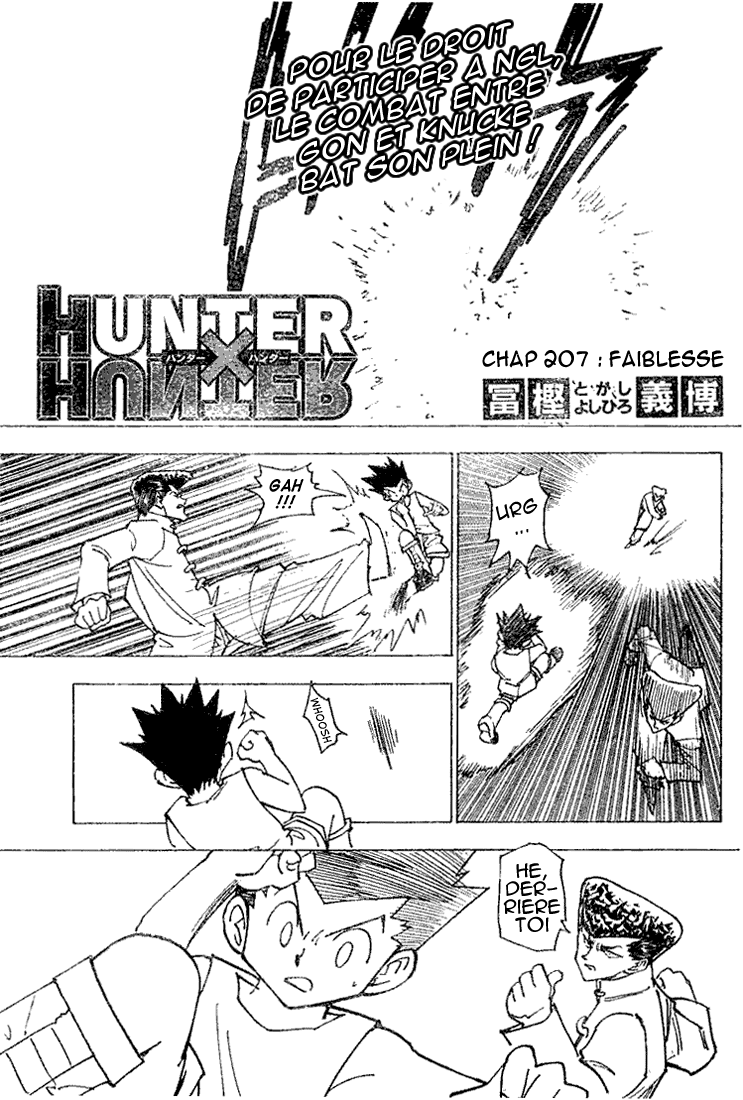 Hunter X Hunter: Chapter chapitre-207 - Page 1