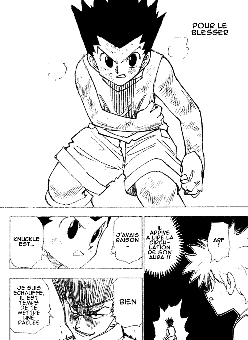 Hunter X Hunter: Chapter chapitre-207 - Page 11
