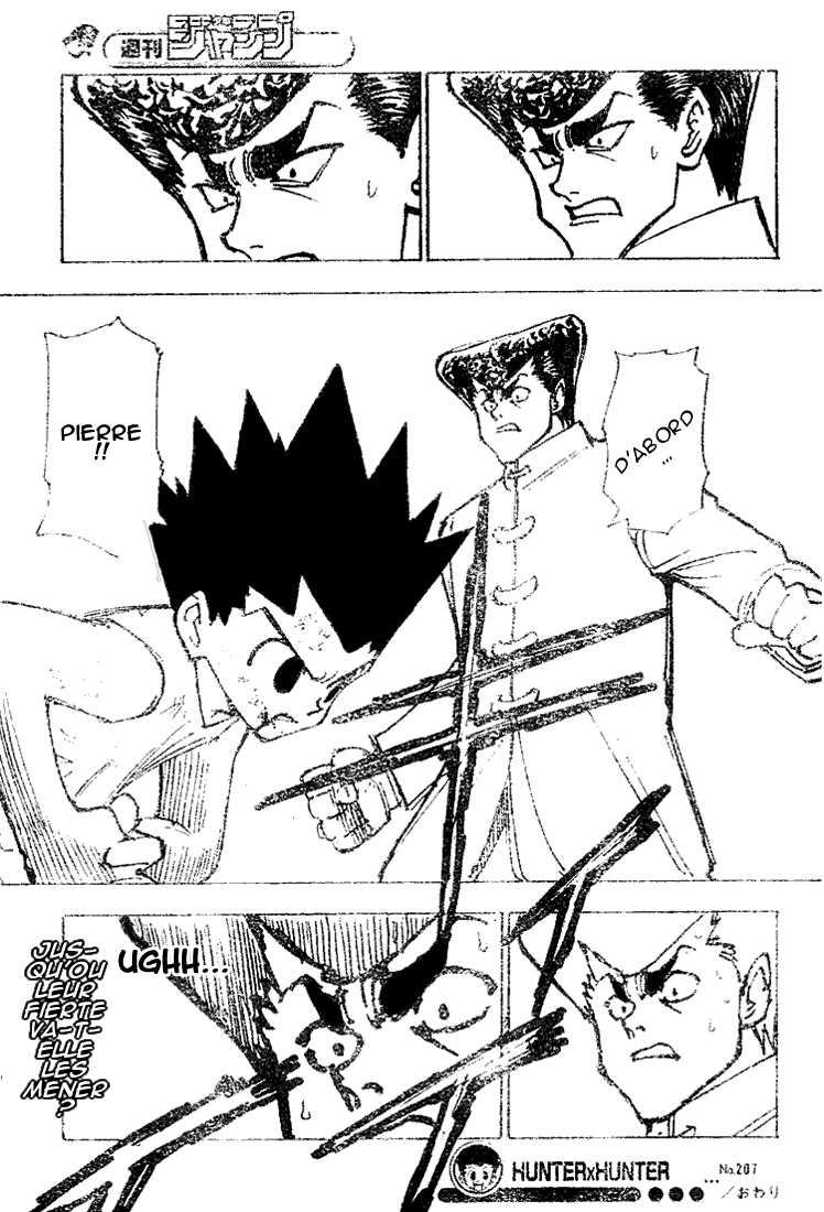 Hunter X Hunter: Chapter chapitre-207 - Page 16