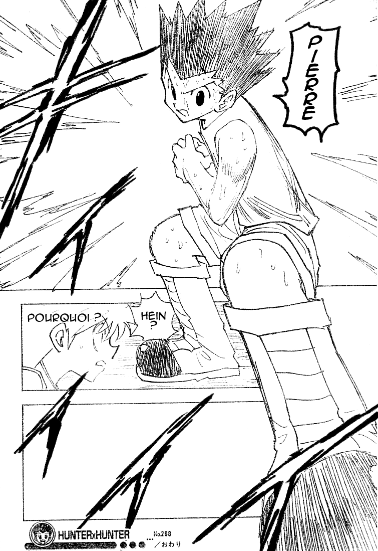 Hunter X Hunter: Chapter chapitre-208 - Page 15