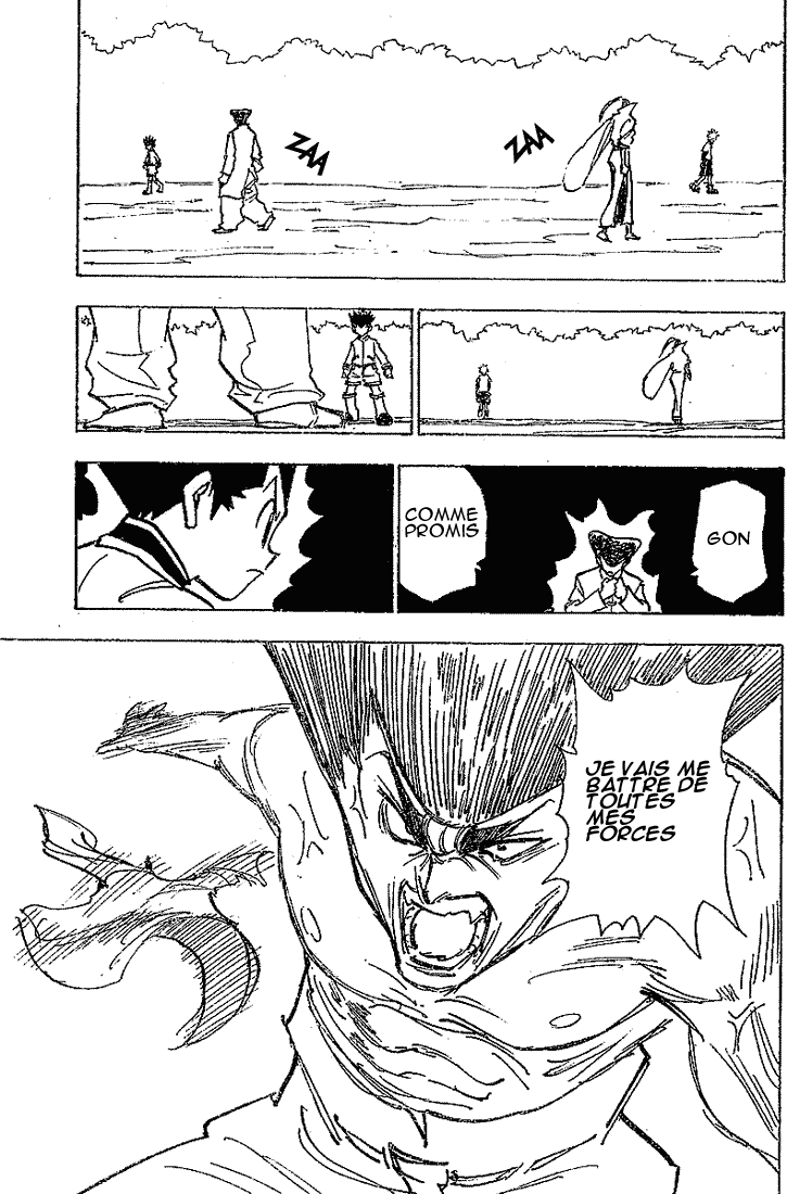 Hunter X Hunter: Chapter chapitre-210 - Page 10