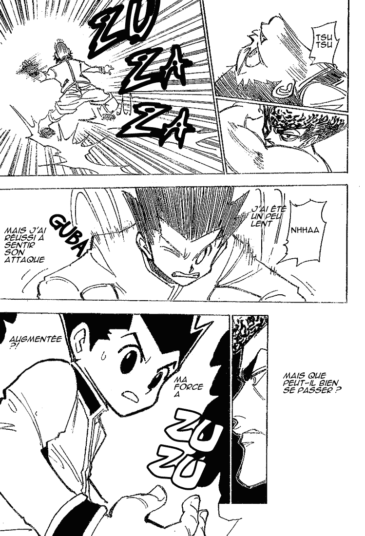 Hunter X Hunter: Chapter chapitre-210 - Page 14