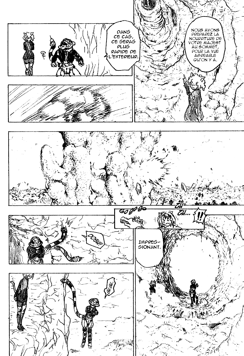 Hunter X Hunter: Chapter chapitre-213 - Page 11