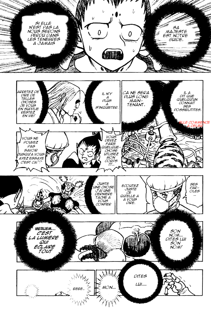 Hunter X Hunter: Chapter chapitre-215 - Page 10