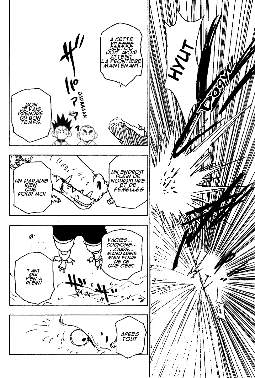Hunter X Hunter: Chapter chapitre-216 - Page 9