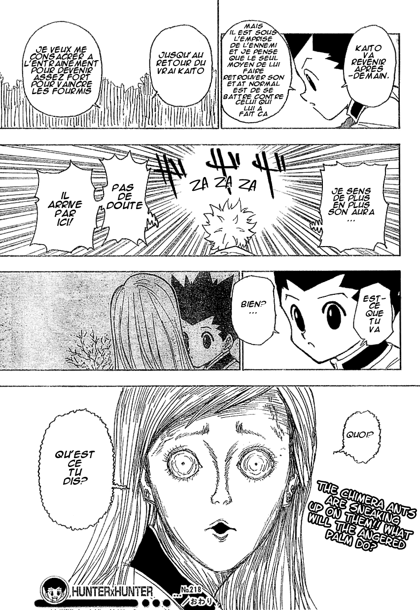 Hunter X Hunter: Chapter chapitre-218 - Page 16