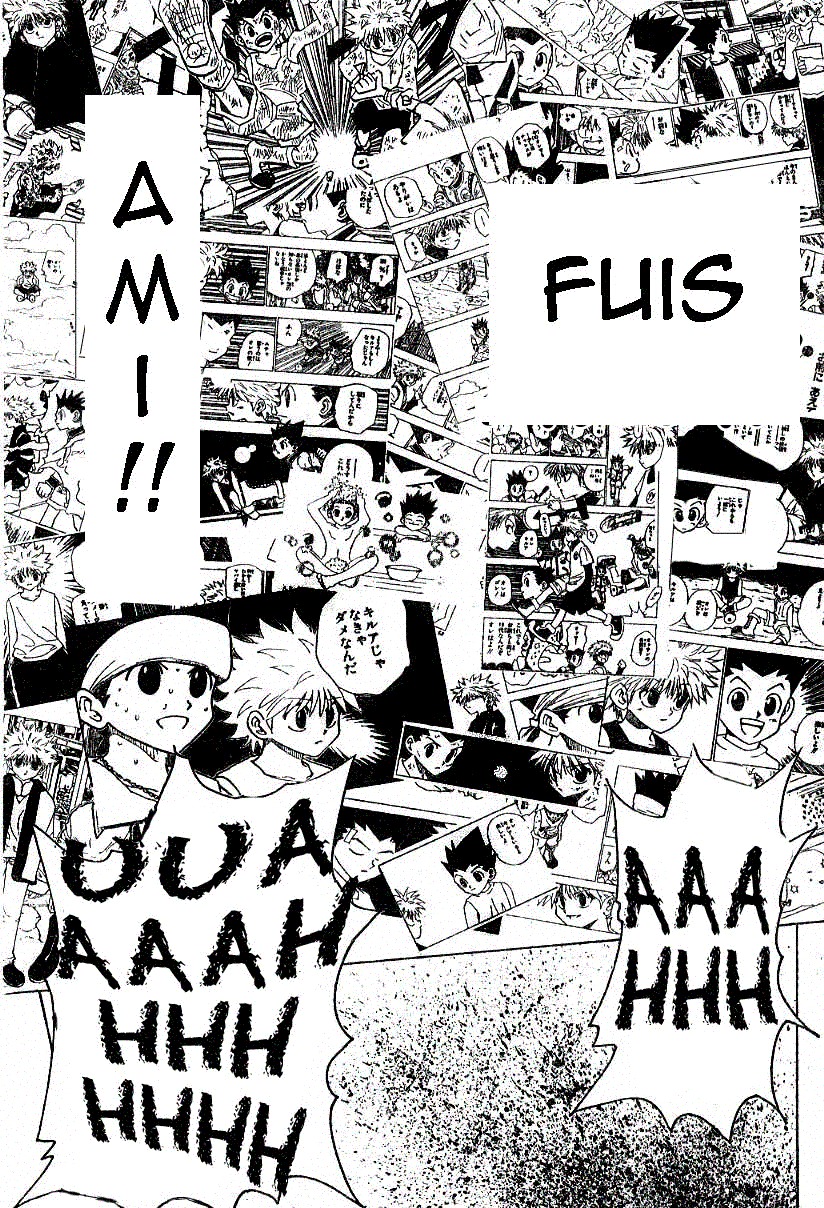 Hunter X Hunter: Chapter chapitre-219 - Page 10
