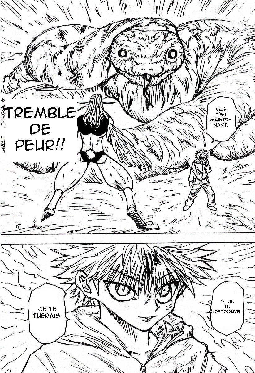 Hunter X Hunter: Chapter chapitre-219 - Page 14