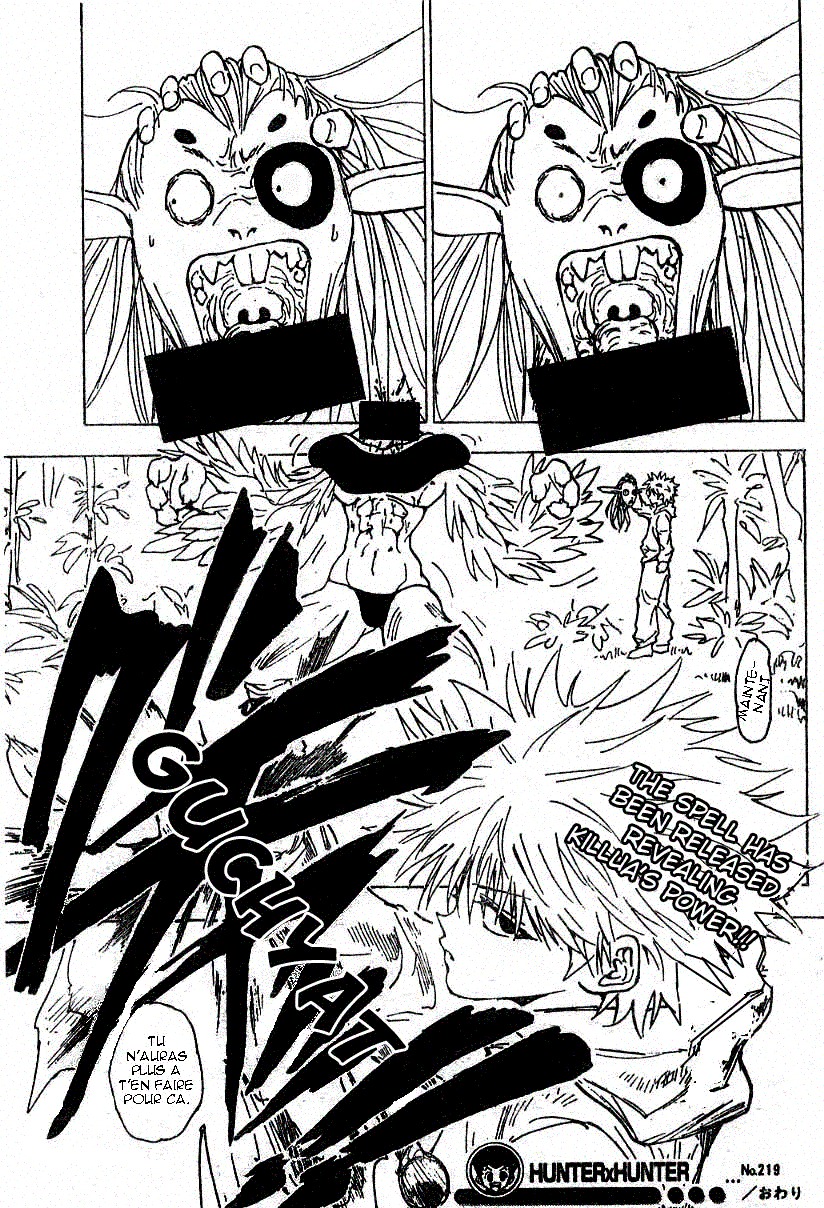 Hunter X Hunter: Chapter chapitre-219 - Page 16