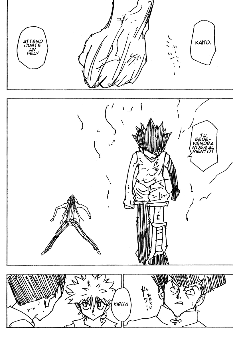 Hunter X Hunter: Chapter chapitre-222 - Page 15