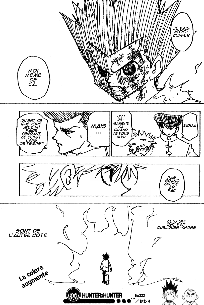 Hunter X Hunter: Chapter chapitre-222 - Page 16
