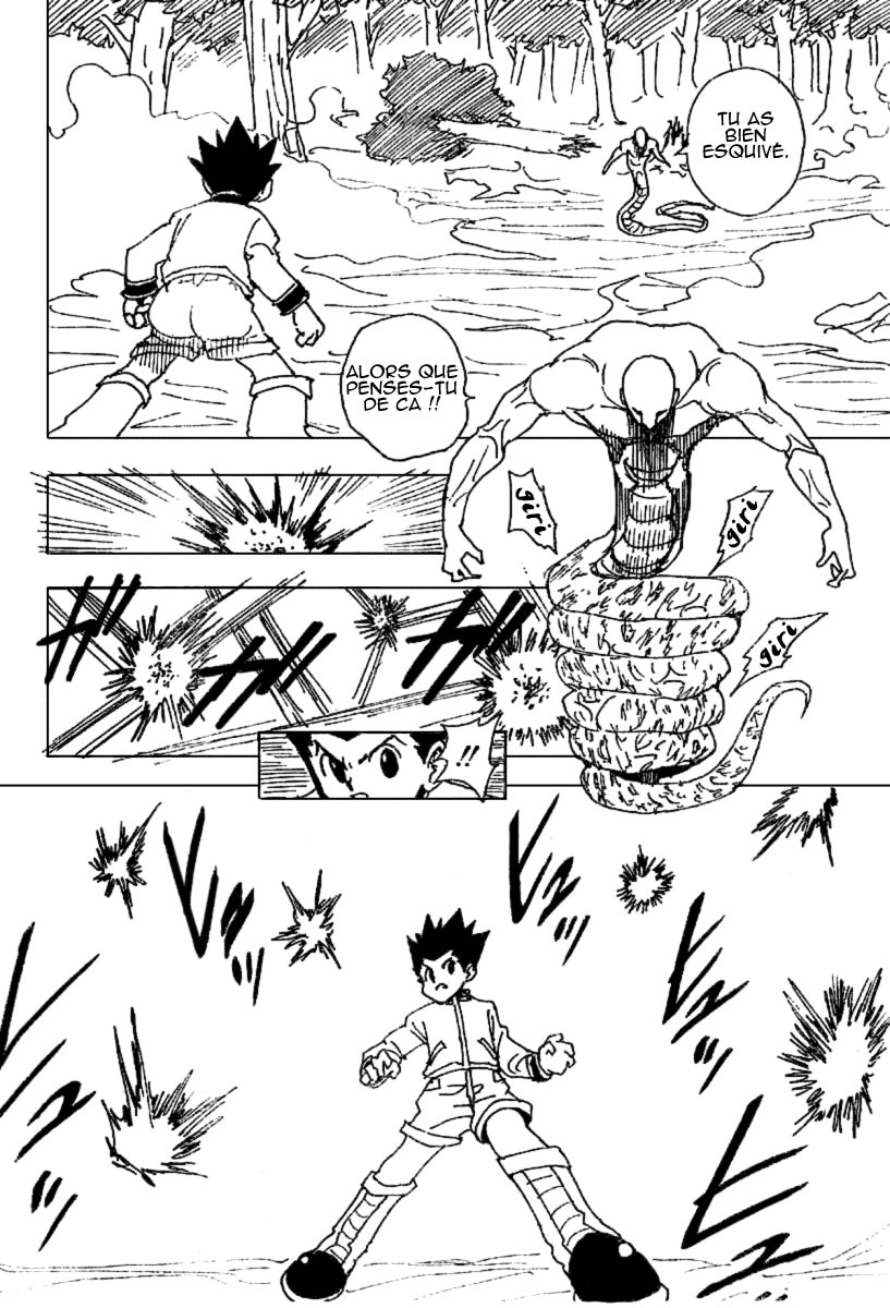 Hunter X Hunter: Chapter chapitre-231 - Page 11