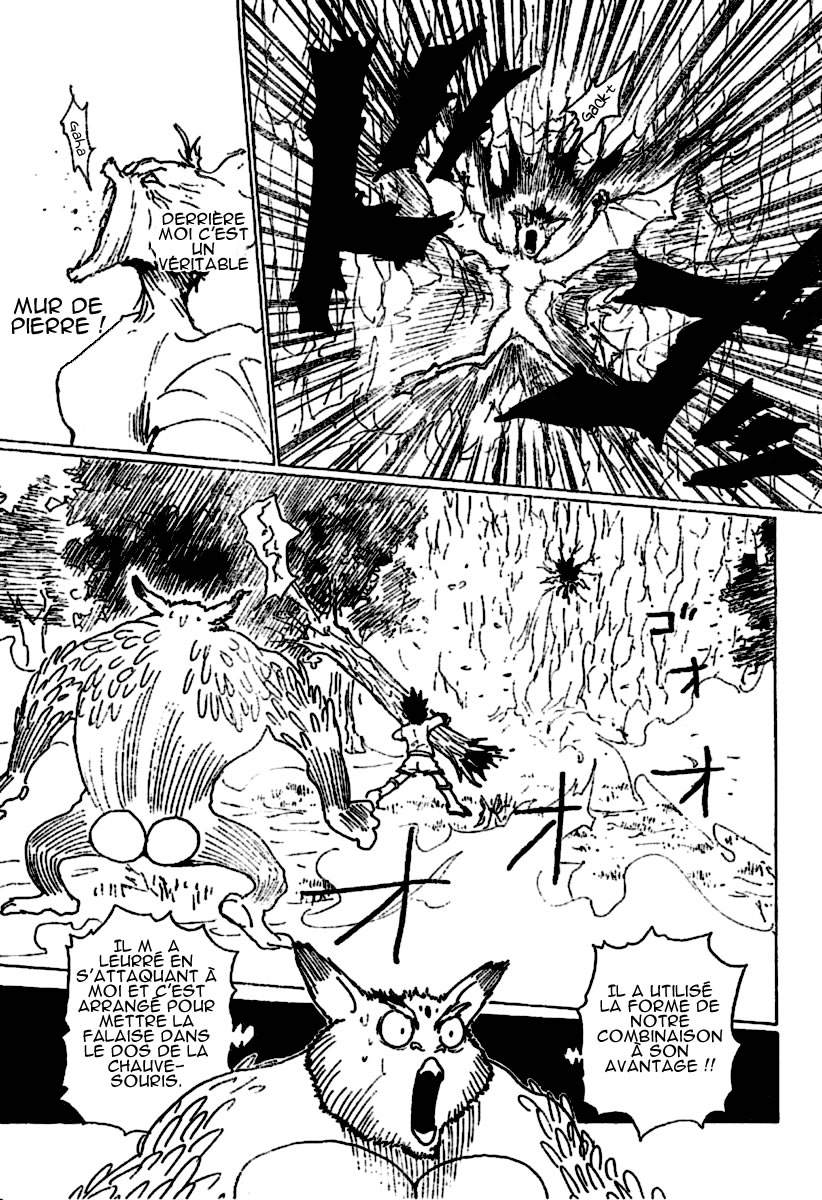 Hunter X Hunter: Chapter chapitre-233 - Page 12