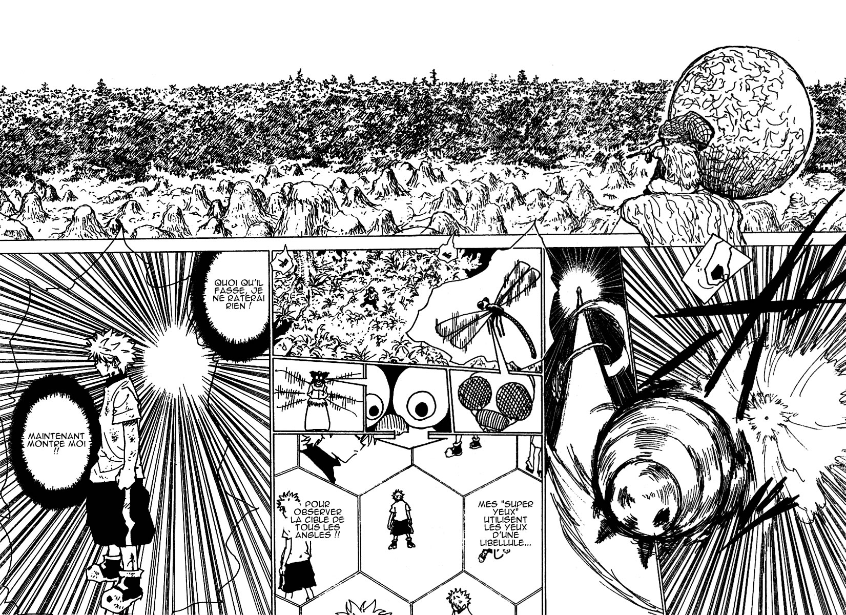 Hunter X Hunter: Chapter chapitre-237 - Page 7