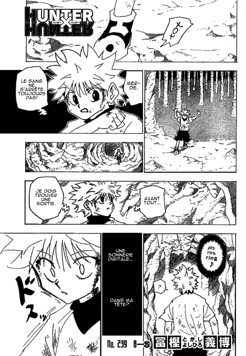 Hunter X Hunter: Chapter chapitre-239 - Page 1