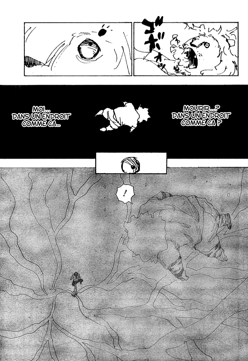 Hunter X Hunter: Chapter chapitre-254 - Page 12