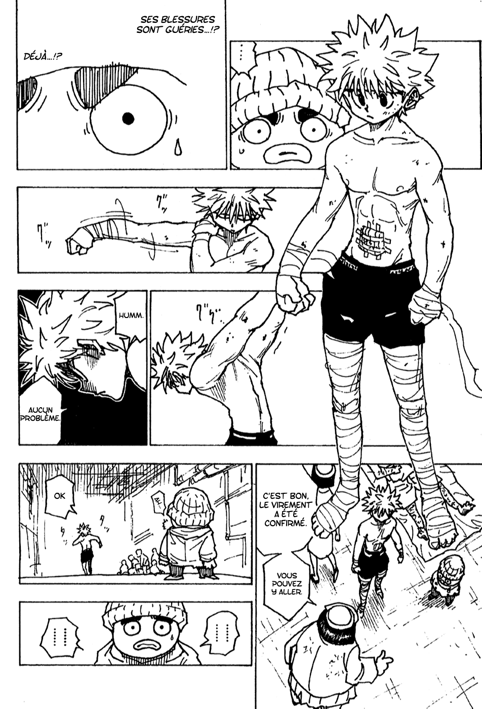Hunter X Hunter: Chapter chapitre-255 - Page 8