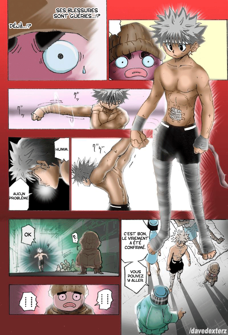 Hunter X Hunter: Chapter chapitre-255 - Page 9
