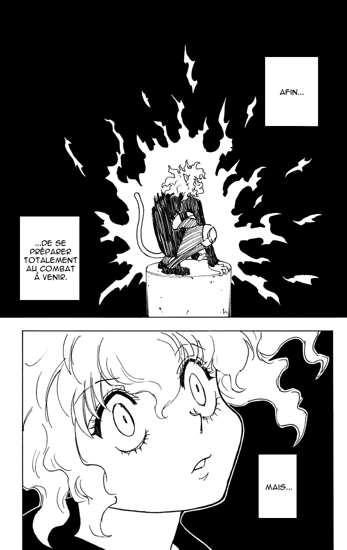 Hunter X Hunter: Chapter chapitre-263 - Page 15