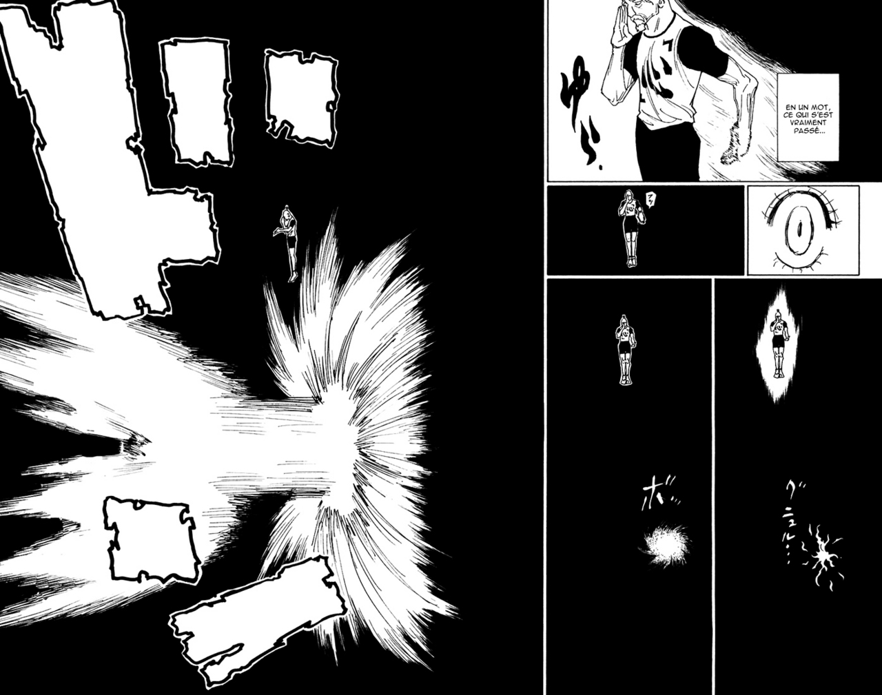 Hunter X Hunter: Chapter chapitre-264 - Page 13