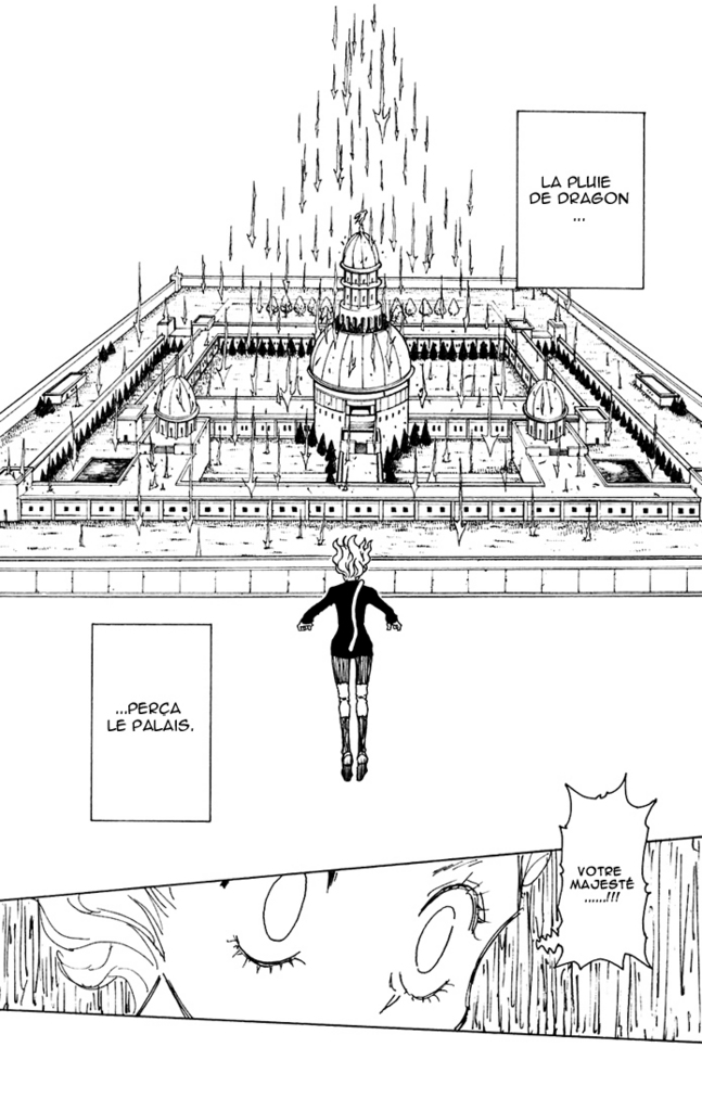 Hunter X Hunter: Chapter chapitre-265 - Page 14